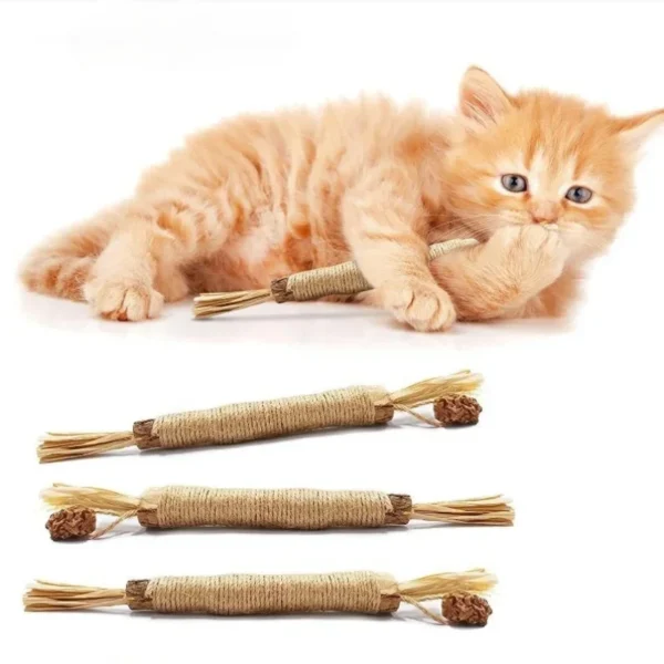 Natürlicher Kauspielstock aus Holz (1–5 Stk.) – Spielspass & Zahnpflege für deine Katze