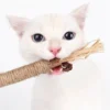 Natürlicher Kauspielstock aus Holz (1–5 Stk.) – Spielspass & Zahnpflege für deine Katze