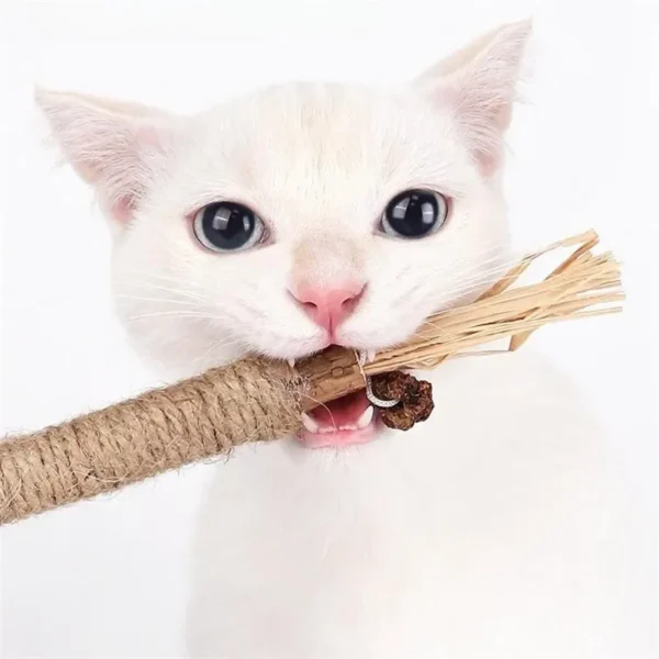 Natürlicher Kauspielstock aus Holz (1–5 Stk.) – Spielspass & Zahnpflege für deine Katze